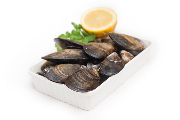 Mussels on white