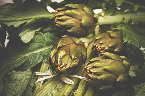 Fresh Sardinian artichokes — Stock Photo, Image