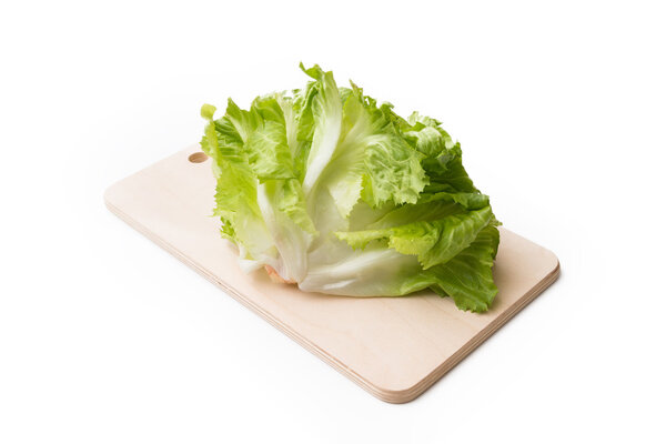 Fresh escarole on white