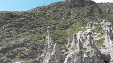 Altai Dağları. Taş mantarlar.