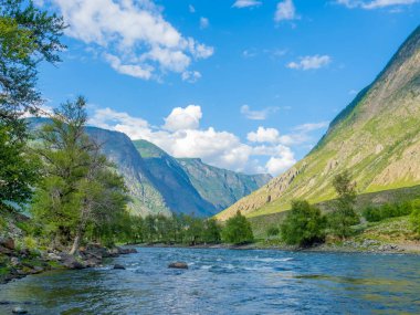 Altai. Chulyshman Nehri manzarası