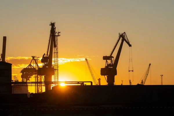 Silhouettes of port cranes at sunset