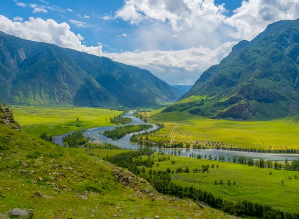 Altai. Chulyshman Nehri manzarası