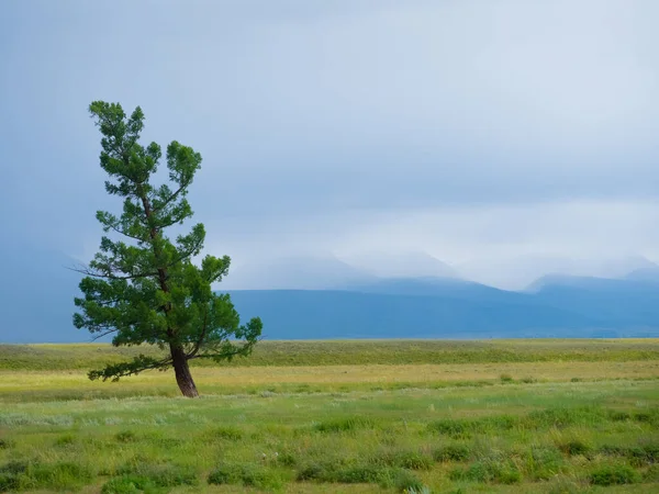 Altai. Dağların arka planında fırtına var.