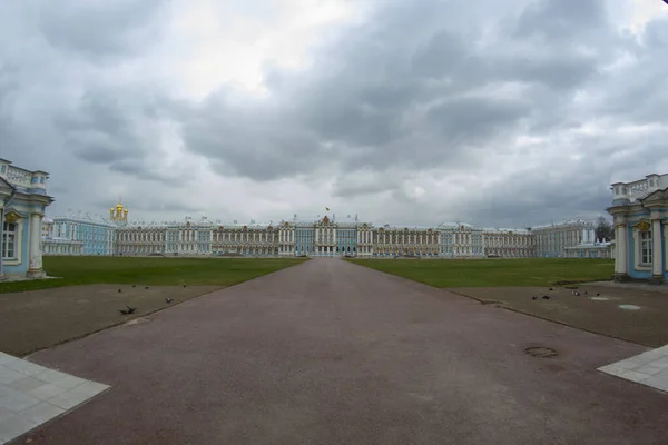 Tsarskoye Selo 'daki sarayın panoraması..