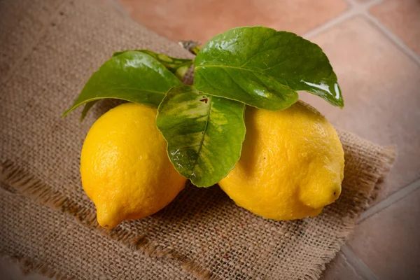 黄色のレモン2個 — ストック写真