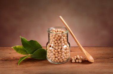 soya fasulyesi kavanozun içinde