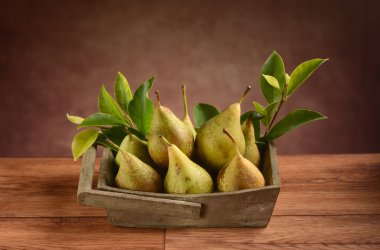 kutusunda organik armut