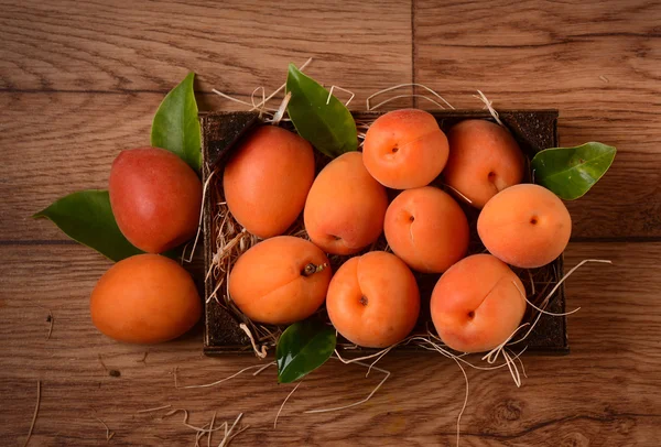 Abrikozen in het vak — Stockfoto