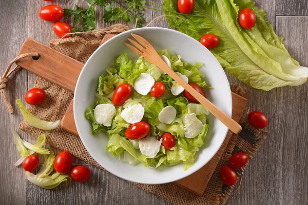 Mozzarella ve domates salatası. — Stok fotoğraf