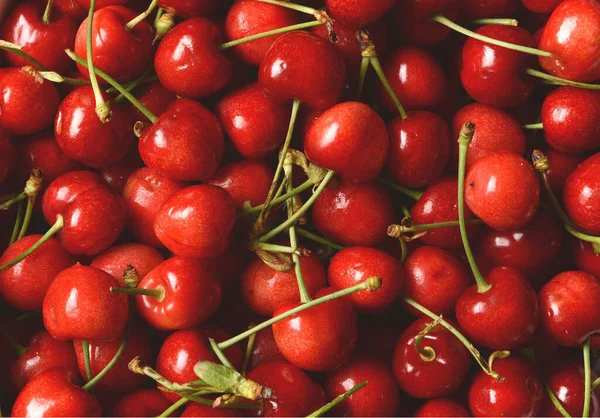 Pilha Cerejas Vermelhas Orgânicas Close — Fotografia de Stock