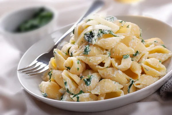 ricotta ve ıspanaklı makarna