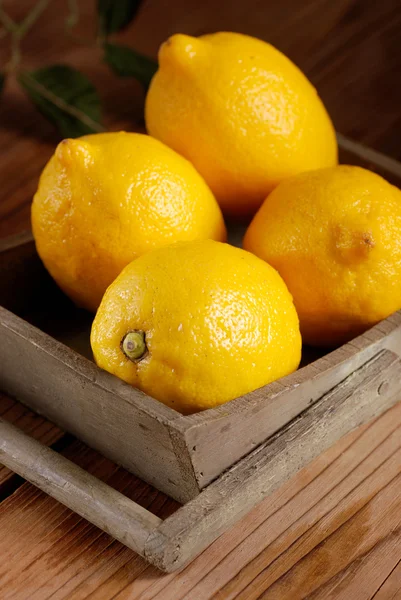 Limones amarillos orgánicos — Foto de Stock