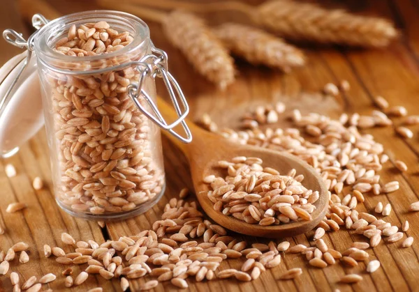 Wheat grains in the spoon — Stock Photo, Image