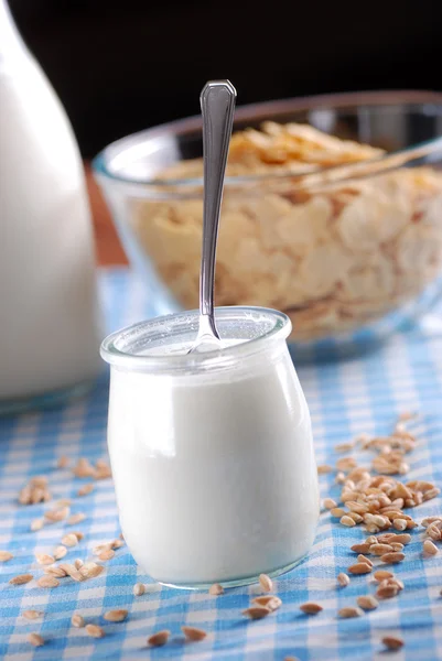 Yogurt with cereal — Stock Photo, Image