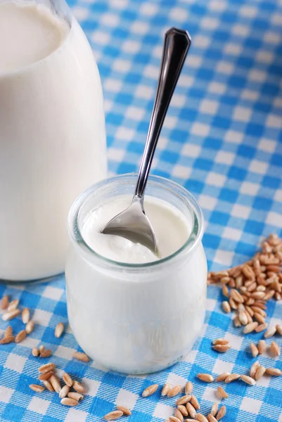 Yoghurt med flingor — Stockfoto