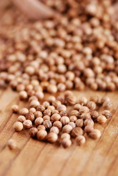 Coriander on the wooden table — Stock Photo, Image