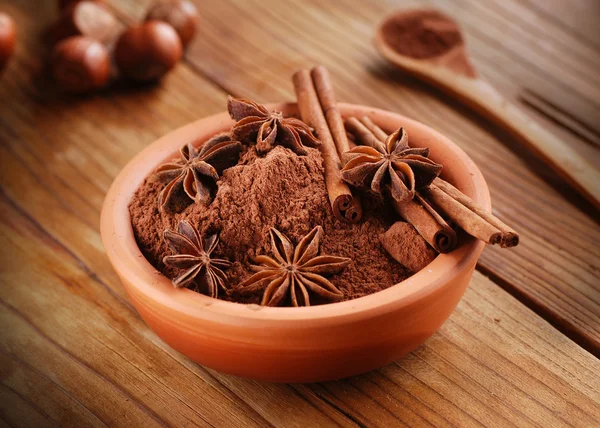 Cacao en polvo con anís estrellado y canela — Foto de Stock