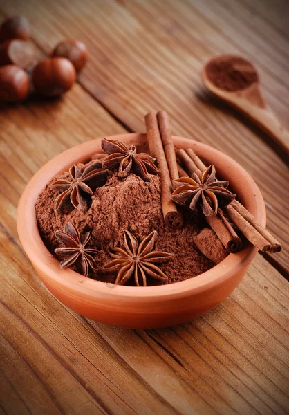 Kakaopulver mit Sternanis und Zimt — Stockfoto