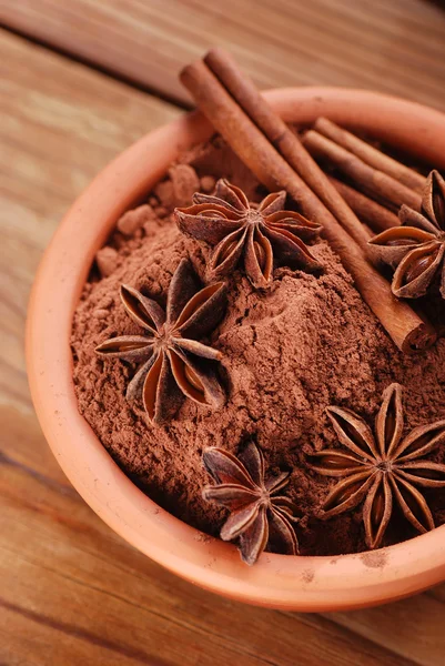 Cocoa powder with star anise and cinnamon — Stock Photo, Image