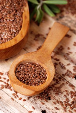 kaşık içinde keten tohumu