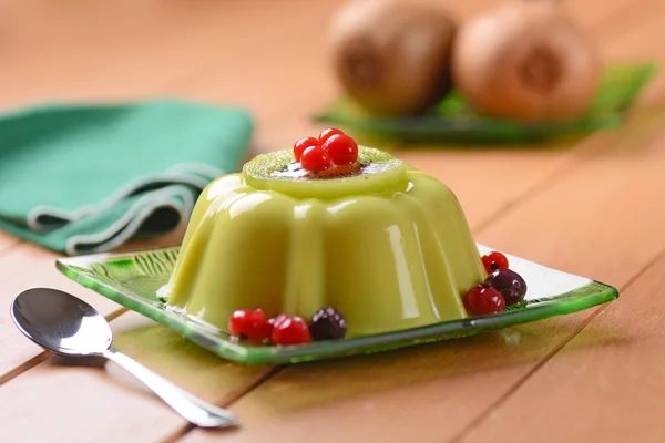 Kiwi pudding met krenten — Stockfoto