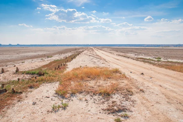 Rivage de lac salé séché — Photo