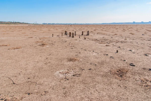 Zkamenělé pahýly stromů na jezero, kuyalnik, Ukrajina — Stock fotografie