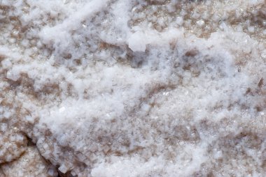 Kuru Tuz Gölü alt dokusuna tam.