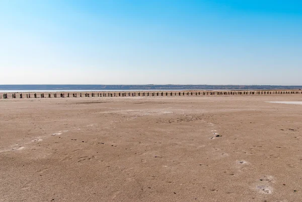 Stubs d'arbres pétrifiés sur le lac, Kuyalnik, Ukraine — Photo