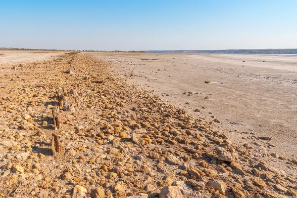 Förstenade träd stubbar på sjön, kuyalnik, Ukraina — Stockfoto