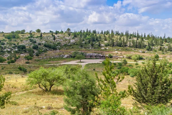 Israël landschap, bos, bergen met grot — Stockfoto