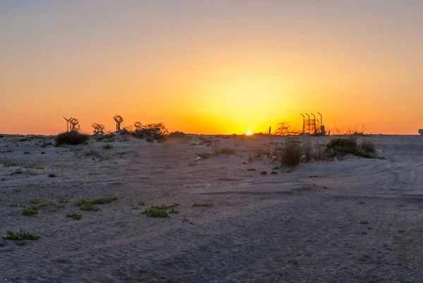 Колючая проволока в пустыне — стоковое фото