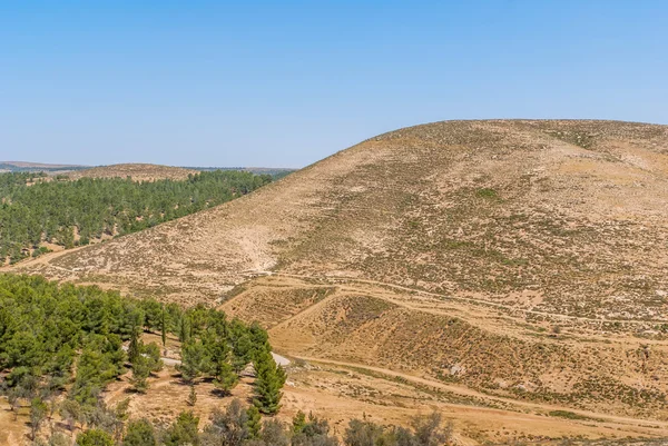 Colinas del desierto del Neguev —  Fotos de Stock