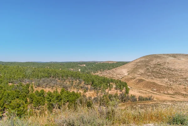Kullarna i Negev-öknen — Stockfoto