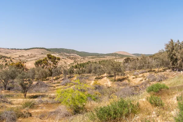 Metar, een Gemeenschap dorp northen Ber-Sheva — Stockfoto