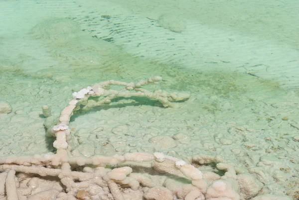 Dead sea mineralleri — Stok fotoğraf