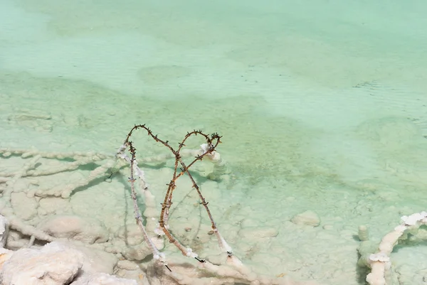 Barbed wire in the shallow waters  Dead Sea — 图库照片