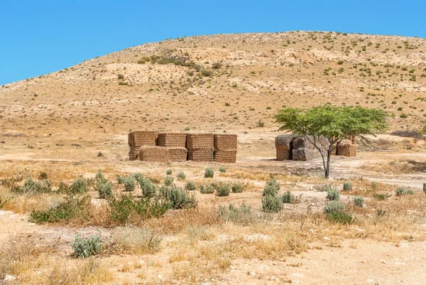 イスラエルのネゲブ砂漠の砂漠の風景. — ストック写真