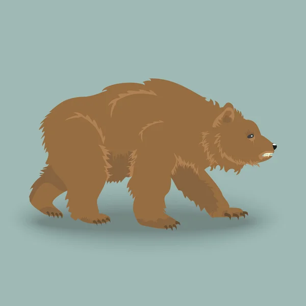 Rozzlobený medvěd Kodiak — Stockový vektor