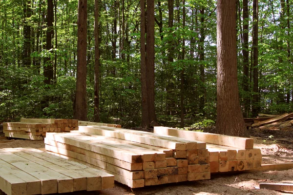 Défricher la forêt Images De Stock Libres De Droits