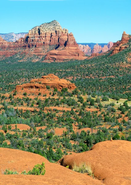 Arizona öken landskap och ensam — Stockfoto