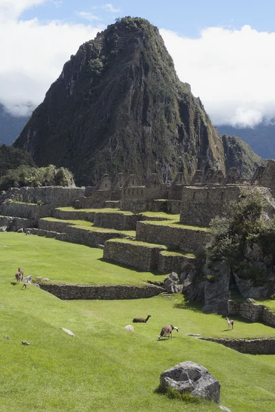 Machu Picchu, Pérou — Photo