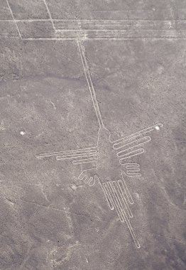 Nazca çizgileri (Nasca, Peru)