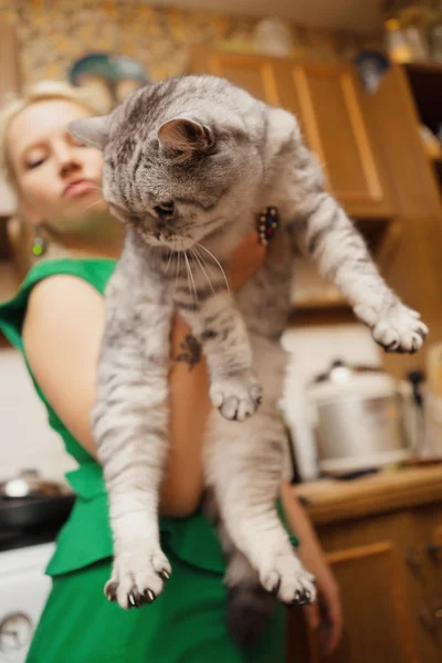 สาวผมบลอนด์สวยกับแมวในอ้อมแขนของเธอในชุดสีเขียวในการตกแต่งสตูดิโอ — ภาพถ่ายสต็อก