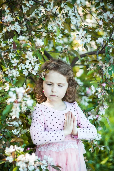 開花のリンゴ園で美しい金髪青い目少女 — ストック写真