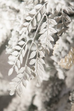 Beyaz Noel süsleri çam dalları, kar ile serpilir üzerinde