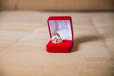 Alyans bir kırmızı kadife kutu