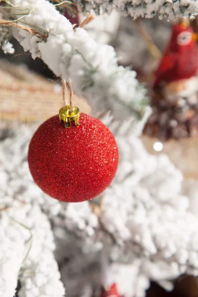 Dekoracje na Boże Narodzenie czerwony na gałęzie jodły, posypane śniegiem — Zdjęcie stockowe