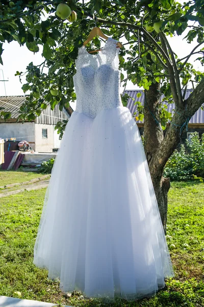 White wedding dress hanging on a branch of apple — Stock Photo, Image